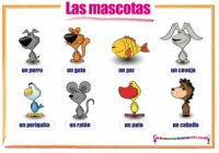 Spanish animals Las mascotas